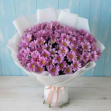 Букет цветов из:  Хризантемы в Полетаево