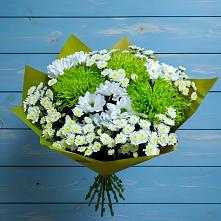 Букет цветов из:  Хризантемы #REPLACE_PRED# Полетаево