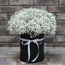 Цветочная композиция из Гипсофила в шляпной коробке в Полетаево