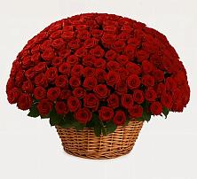 Премиум букет из: Розы в Полетаево